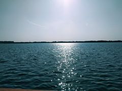 -丁香湖公园
