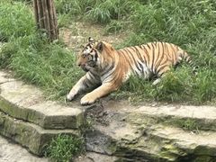 -大连森林动物园