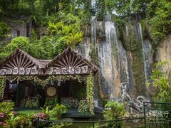 -西双版纳原始森林公园