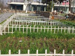 -田园东方蜜桃村的田野营地