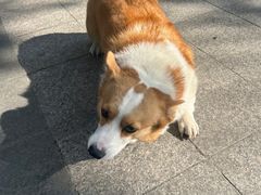 -佳思多食品料理超市(园区店)