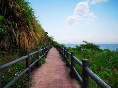 -温岭石塘海边
