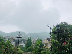 -先机泉水鸡汤(南山老君洞店)