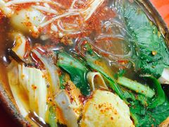 纯菜粉丝砂锅-清真·马文砂锅大全(麦苋街店)