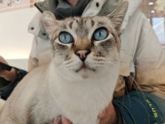 -共舞时光猫咖·狗咖(新街口店)
