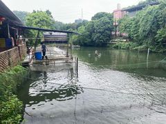 -好旺来农庄(凤岗店)
