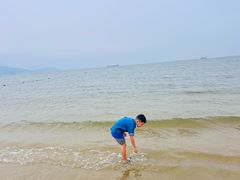 -汕尾风车岛