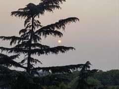 -西郊壹号