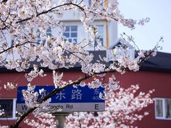 -永乐路-路侧停车场