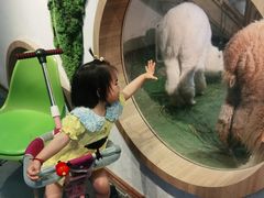 -藦茜花园宠物主题亲子互动体验馆(国顺东路店)