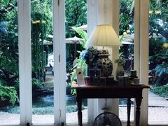 -Fern Forest Cafe