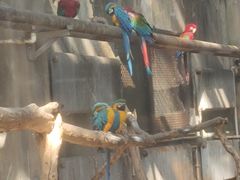 -大连森林动物园