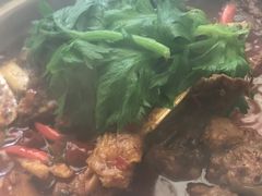 泉水鸡-先机泉水鸡汤(南山老君洞店)