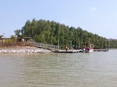 -大亚湾红树林城市湿地公园