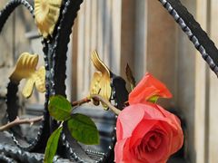 -上海佘山国家森林公园西佘山园