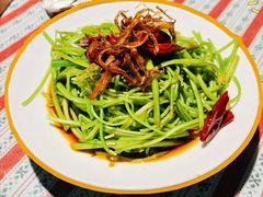 -菌自由丨野生菌火锅特色庭院餐厅(丽江古城店)