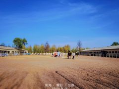 -北京群众马术培训基地