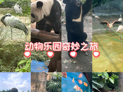 -成都动物园
