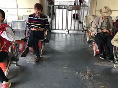 -珠江夜游省总码头