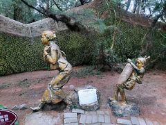 -北海金海湾红树林生态旅游区