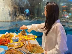 -帝企鹅自助餐厅•儿童岛•真企鹅(长隆企鹅酒店)