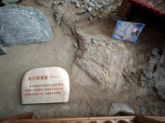 -中国第四纪冰川遗迹陈列馆