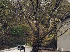 -广州市紫泥堂文化创意园景区