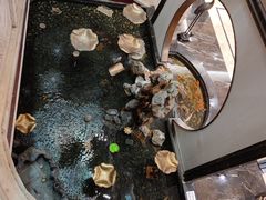 -冶春茶社(官园桥店)