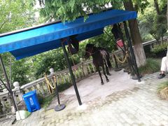 -金庭庄园酒店-停车场