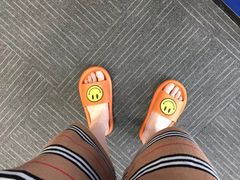 -温州体育中心游泳馆