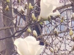 -首都医科大学附属北京友谊医院(西城院区)