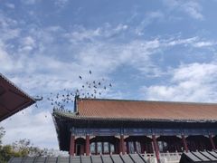-湛山寺