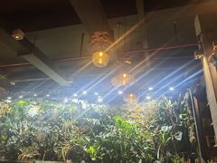 -玖壹咖啡(临河街店)