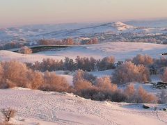 -塞罕坝国家级自然保护区