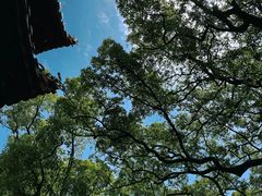 -南岳衡山风景名胜区-南岳大庙