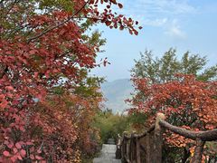 -秦岭终南山世界地质公园翠华山景区