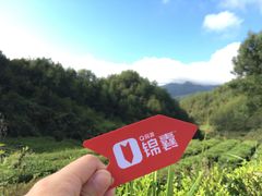 -花亭湖风景名胜区