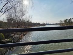 -九科绿洲