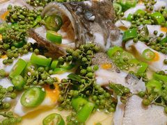 青青椒麻龙胆鱼-CHIC1699远洋私厨