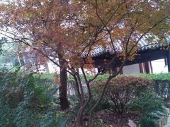 西佘山公园-上海佘山国家森林公园西佘山园