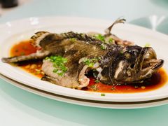 清蒸龙胆-鲜螺湾(鹏欣丽都店)