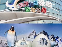-海合安天津极地海洋公园