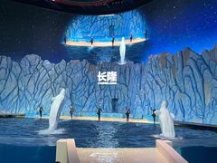 -珠海长隆海洋王国