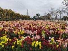 -广东花都香草世界旅游度假区