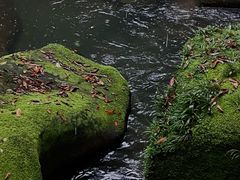 -碧峰峡风景区