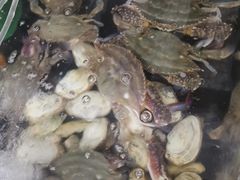 -阿杰臻选海鲜饭店(普陀山店)