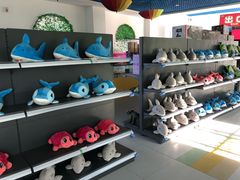 -华夏文旅海洋公园