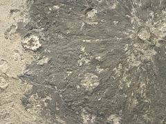 -浙江省科技馆
