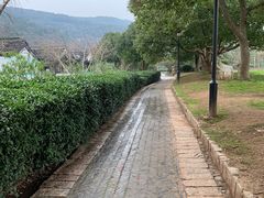 -雨花胜境