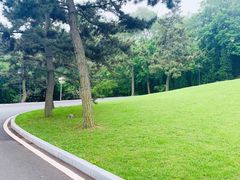 -棒棰岛宾馆景区